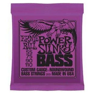 ERNIE BALL EB2831
