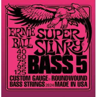 ERNIE BALL EB2824