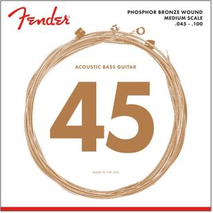 FENDER ACOUSTIC BASS 7060