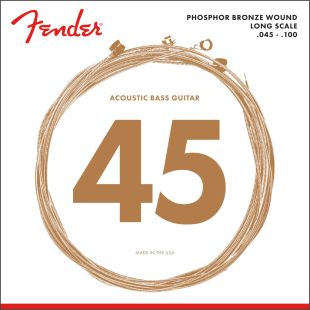 FENDER ACOUSTIC BASS 8060