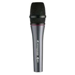 SENNHEISER E865