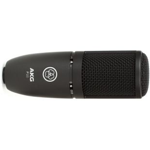 AKG P120