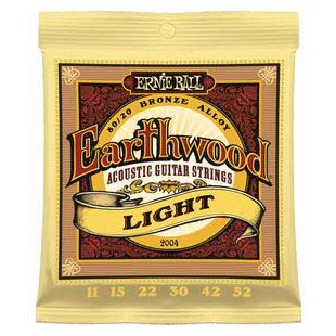 ERNIE BALL EB2004