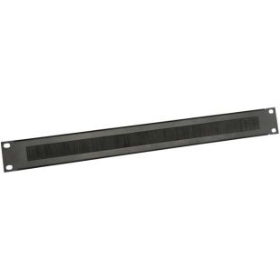 ASP TCF1 BRUSH