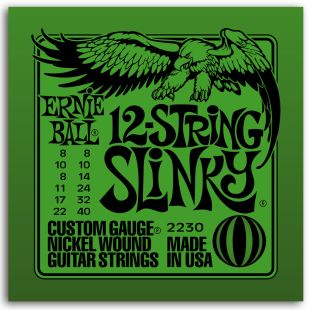 ERNIE BALL EB2230
