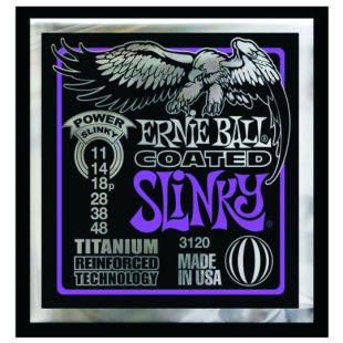 ERNIE BALL EB3120