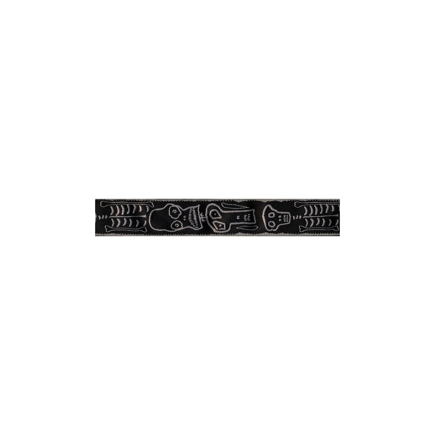 DADDARIO 50JS01 JOE SATRIANI SKULL N BONES