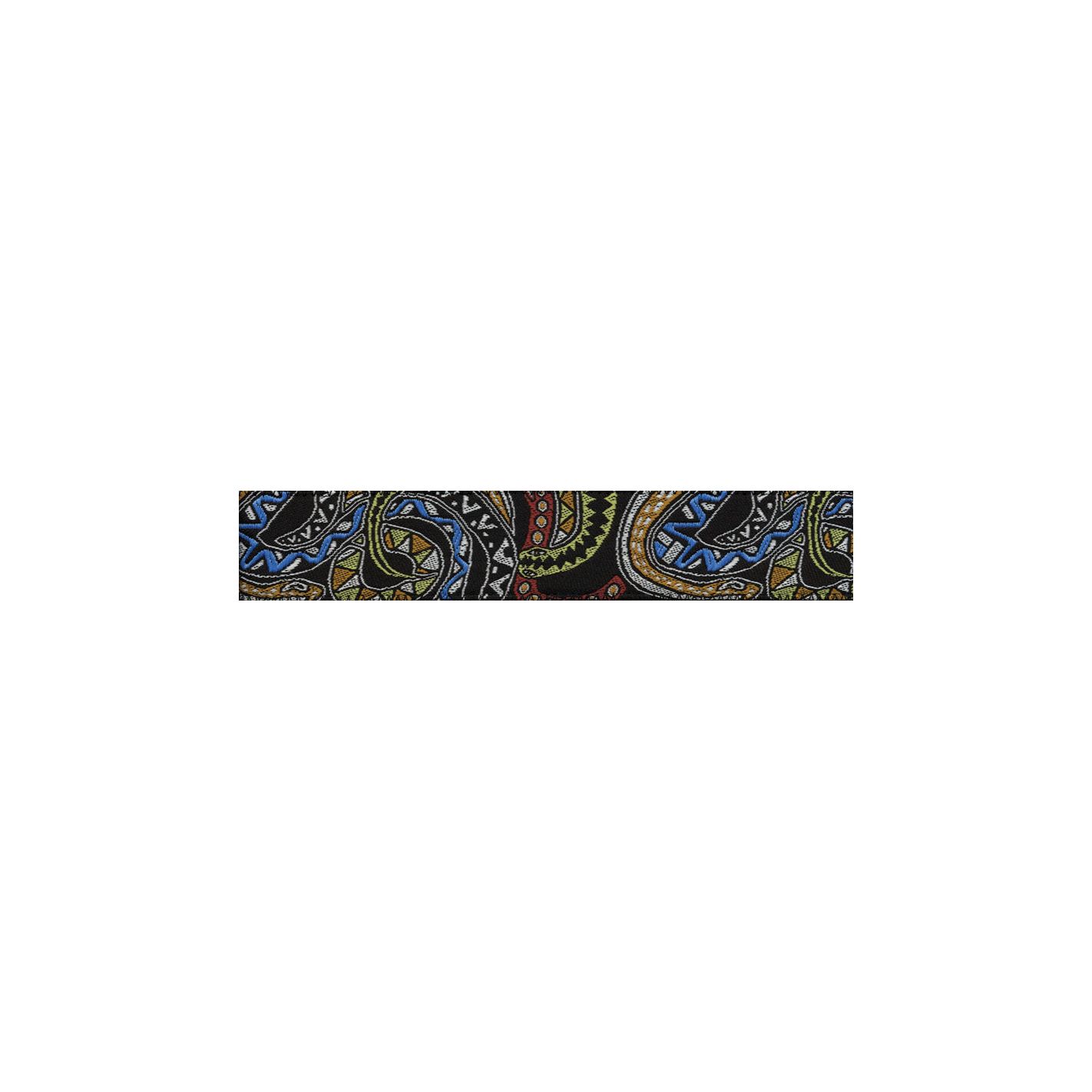 DADDARIO 50JS04 JOE SATRIANI SNAKES MOSAIC