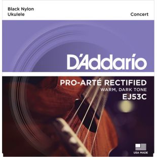 DADDARIO EJ53C