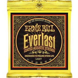 ERNIE BALL EB2558