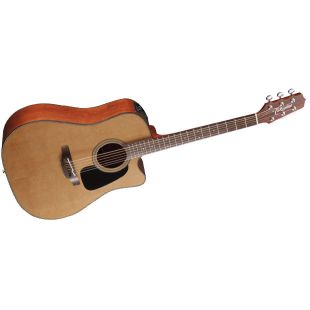 TAKAMINE PRO SERIES P1DC