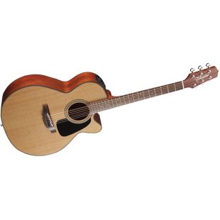 TAKAMINE PRO SERIES P1NC