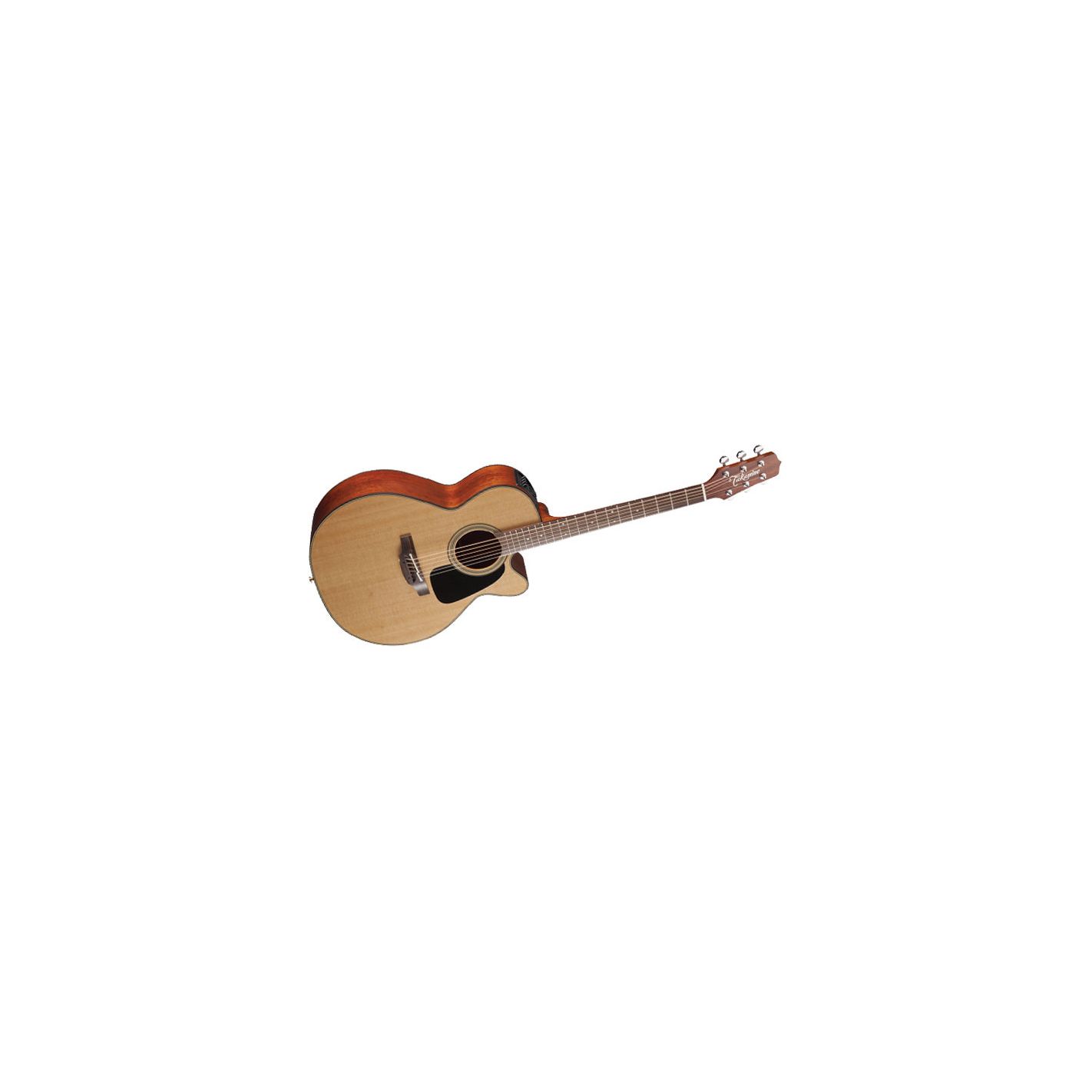 TAKAMINE PRO SERIES P1NC