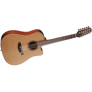 TAKAMINE PRO SERIES P3DC-12