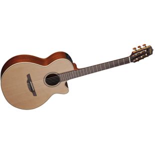 TAKAMINE PRO SERIES P3FCN