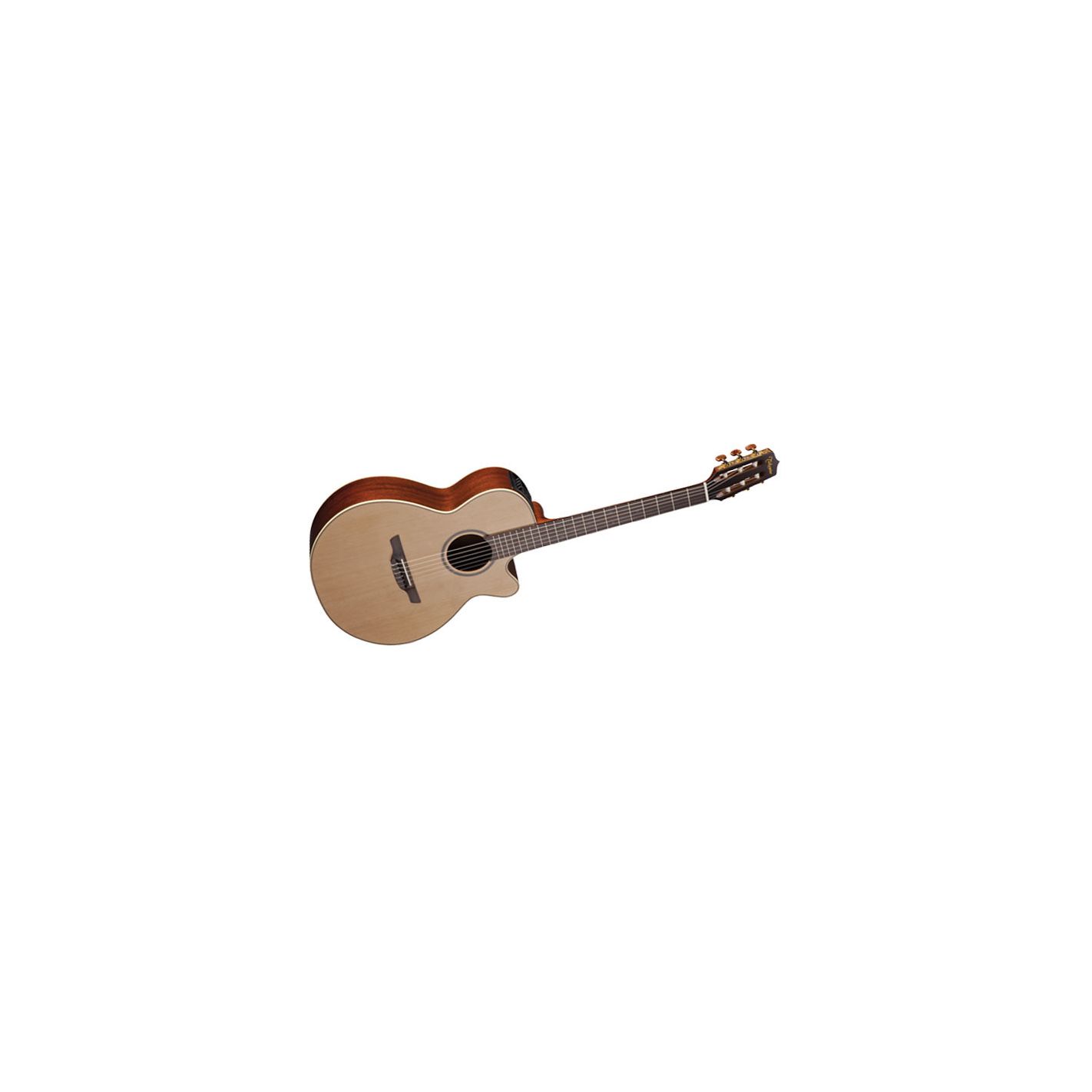 TAKAMINE PRO SERIES P3FCN
