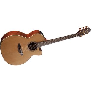TAKAMINE PRO SERIES P3NC