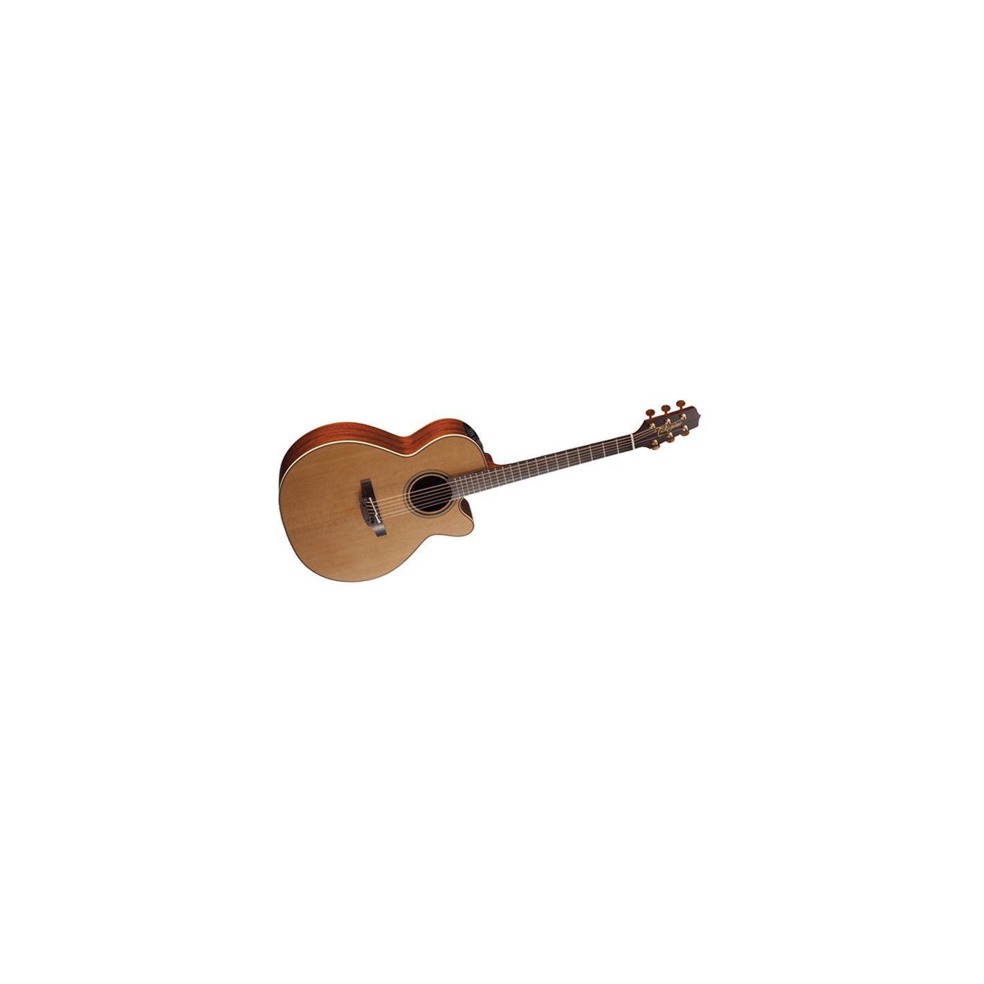 TAKAMINE PRO SERIES P3NC