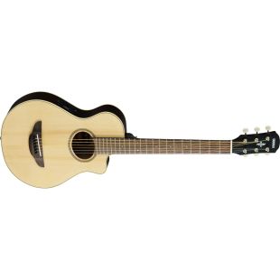 YAMAHA APXT2-NT