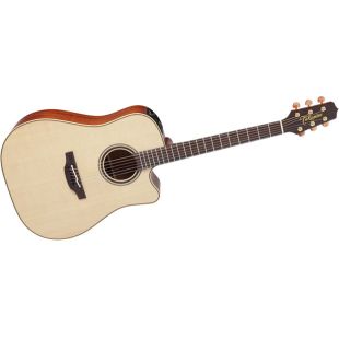 TAKAMINE PRO SERIES P4DC
