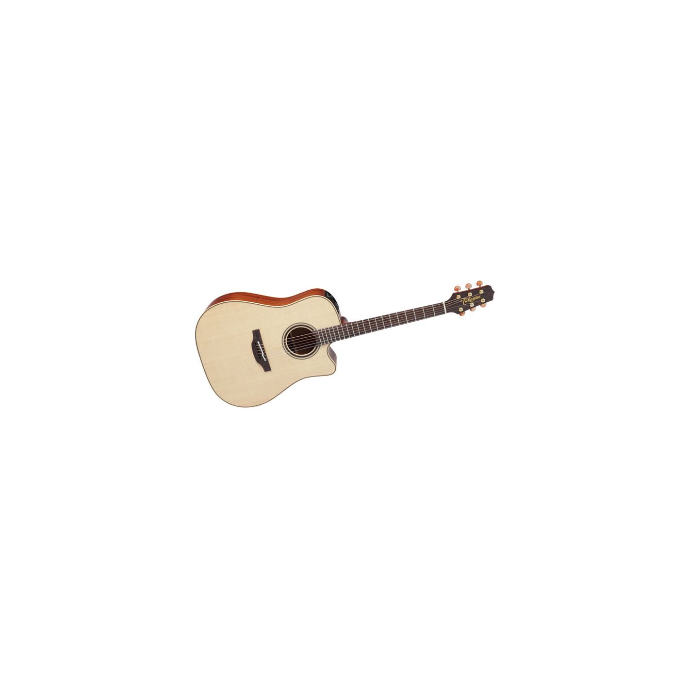 TAKAMINE PRO SERIES P4DC
