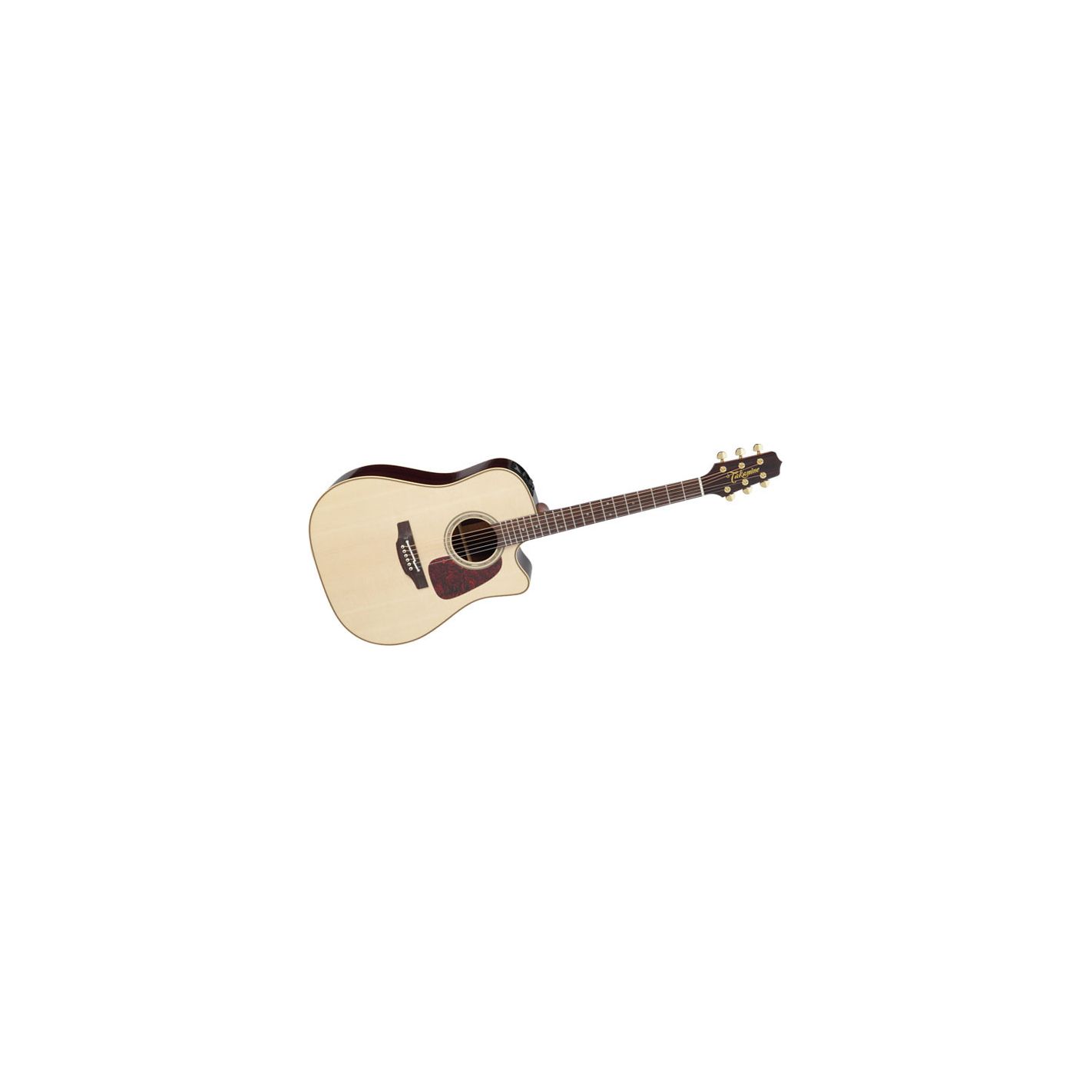 TAKAMINE PRO SERIES P5DC