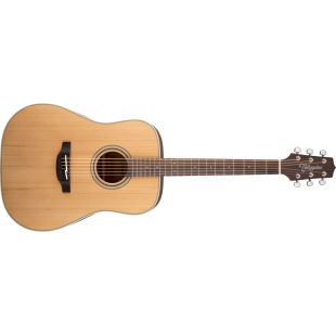 TAKAMINE GD20-NS