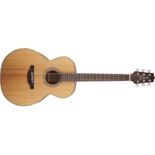 TAKAMINE GN20-NS