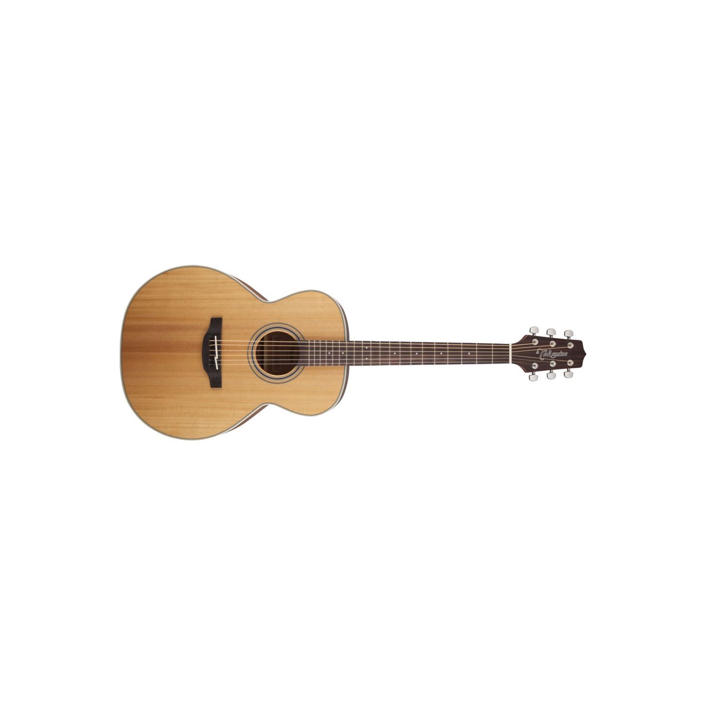 TAKAMINE GN20-NS