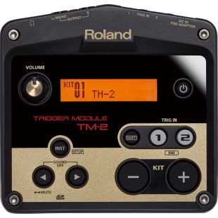 ROLAND TM-2 MODULE