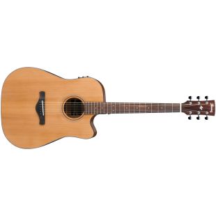 IBANEZ AW65ECE-LG