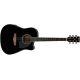 IBANEZ PF15ECE-BK