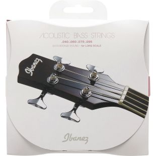IBANEZ IABS4C