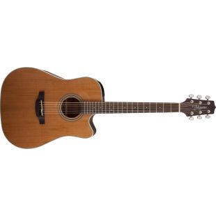 TAKAMINE GD20CE-NAT