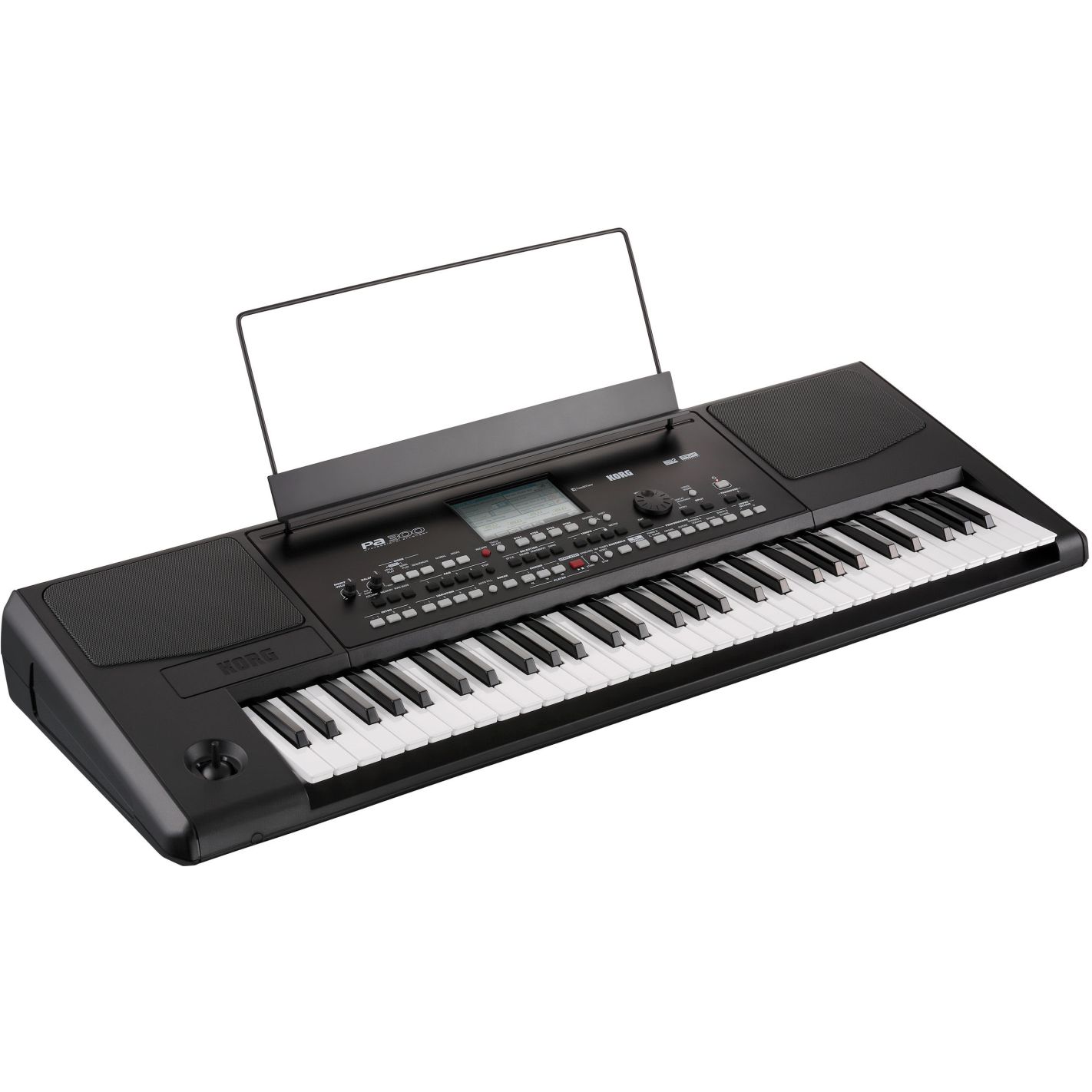 KORG PA300