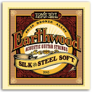 ERNIE BALL EB2045