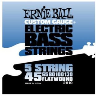 ERNIE BALL EB2810
