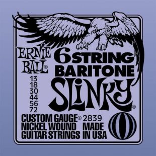 ERNIE BALL EB2839