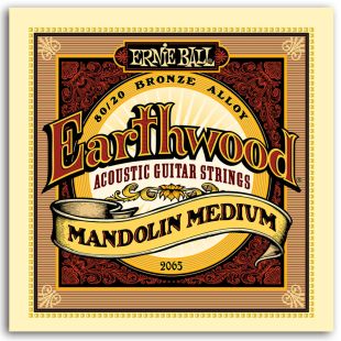 ERNIE BALL EB2065