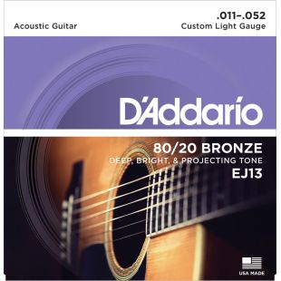 DADDARIO EJ13