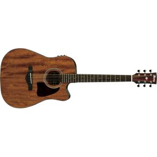 IBANEZ AW54CE-OPN