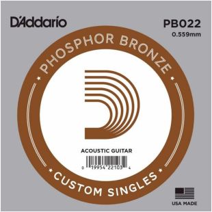 DADDARIO PB022