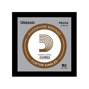 DADDARIO PB026