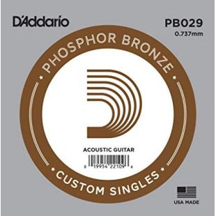 DADDARIO PB029