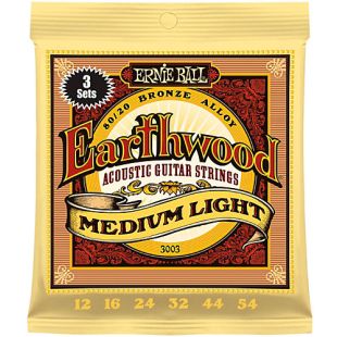 ERNIE BALL EB3003