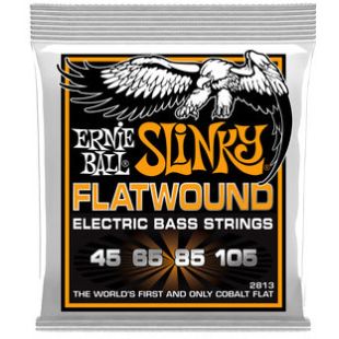 ERNIE BALL EB2813