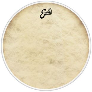 EVANS BD22GB4CT