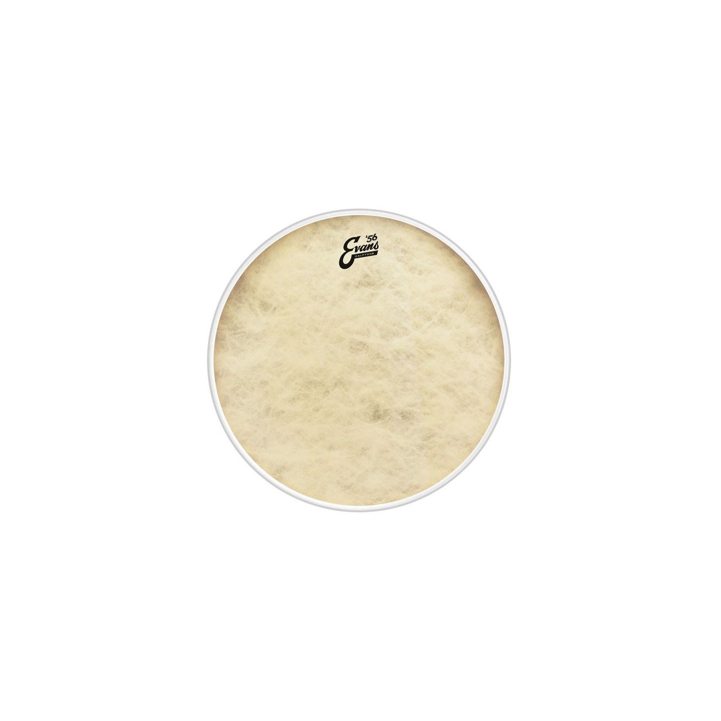 EVANS BD20CT