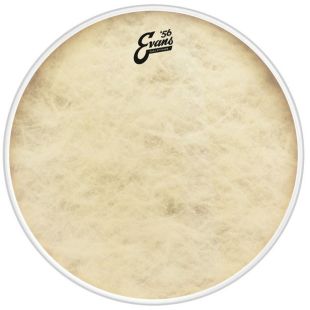 EVANS BD18CT