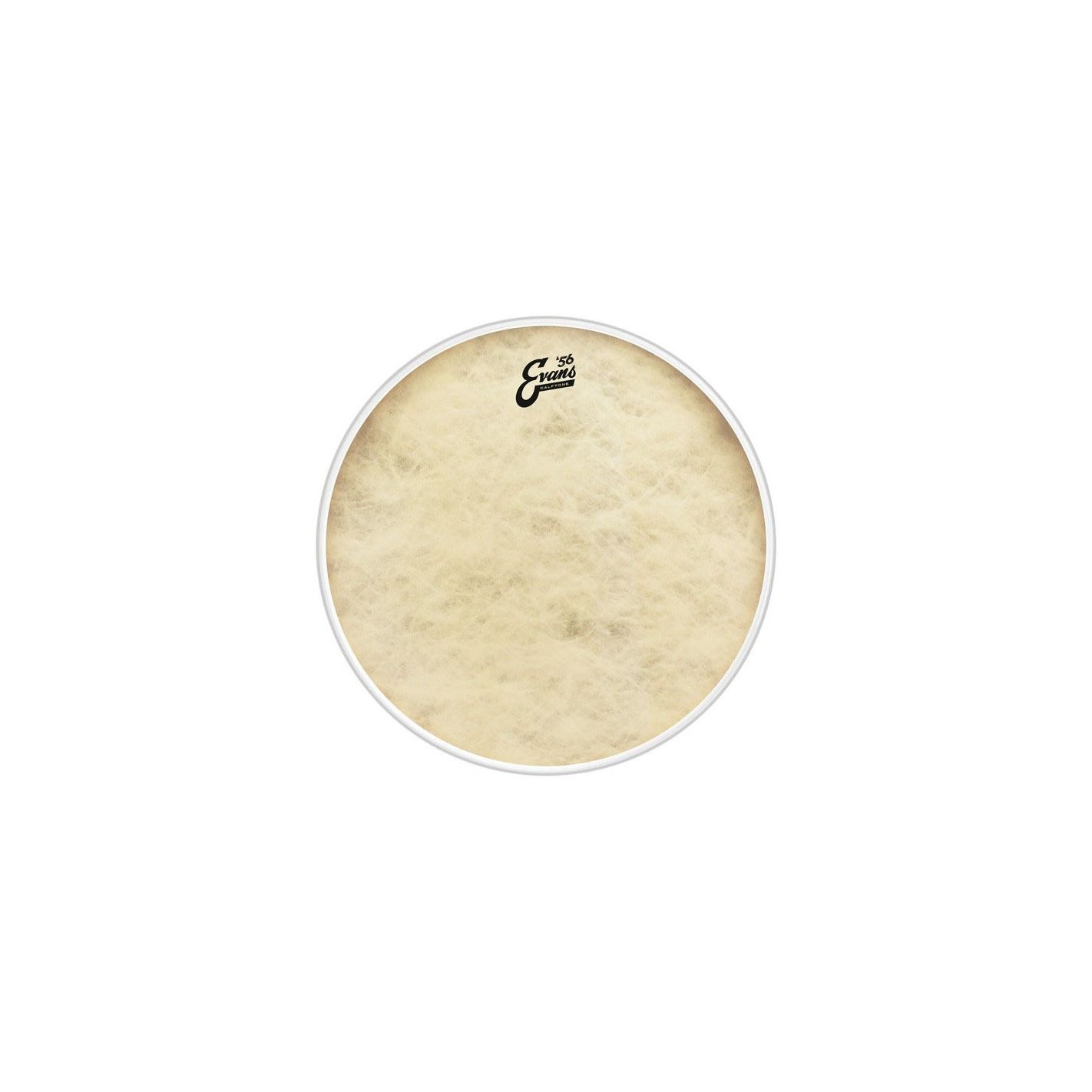 EVANS BD18GB4CT